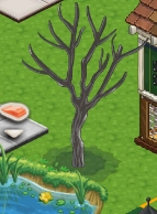 ChefVille toter Orangenbaum