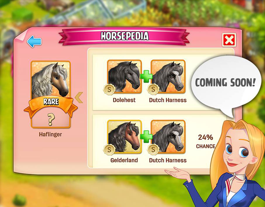 Horse Haven Pferdeoase