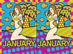 Calendargirls Januar 2009  spielen