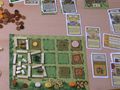 Agricola: Die Moorbauern Bild 3