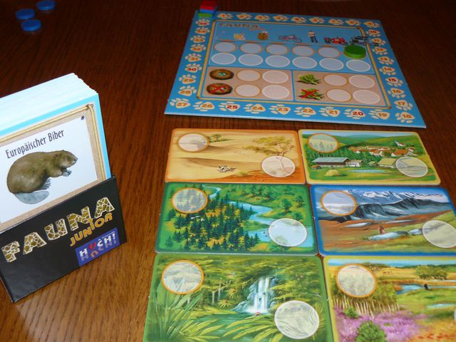 Fauna Junior, Spiel, Anleitung und Bewertung auf Alle Brettspiele bei