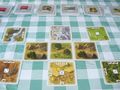 Die Fürsten von Catan Bild 15