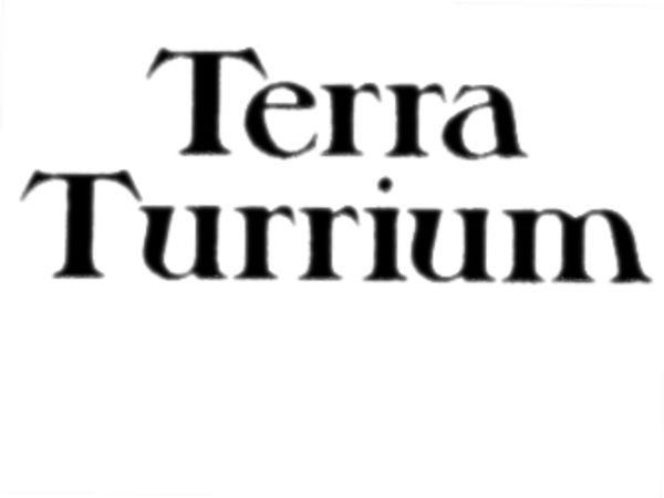 Bild zu Alle Brettspiele-Spiel Terra Turrium