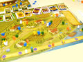 Viticulture Bild 2