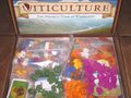 Viticulture Bild 3