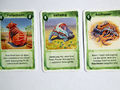 Evolution Bild 8
