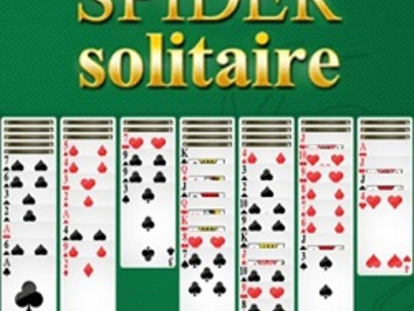 Bild zu Klassiker-Spiel Spider Solitaire