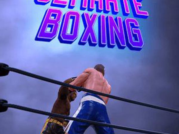 Bild zu Sport-Spiel Ultimate Boxing