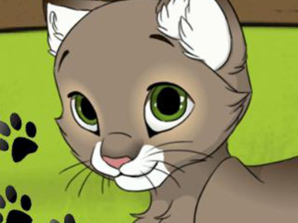 Bild zu HTML5-Spiel My Kitten