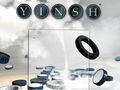 Yinsh