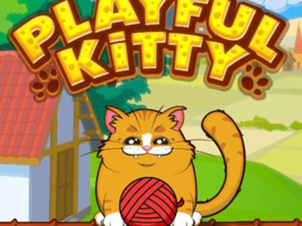 Bild zu Denken-Spiel Playful Kitty