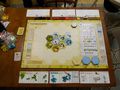 Dominant Species Bild 3