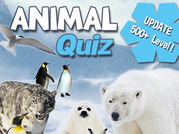 Bild zu Denken-Spiel Animal Quiz