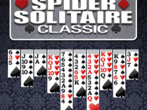 Bild zu Denken-Spiel Spider Solitaire Classic