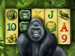 King of the Jungle spielen