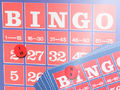 Bingo - Mitbringspiel