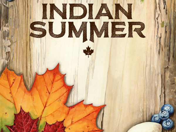 Bild zu Alle Brettspiele-Spiel Indian Summer