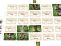 Codenames Duett Bild 3