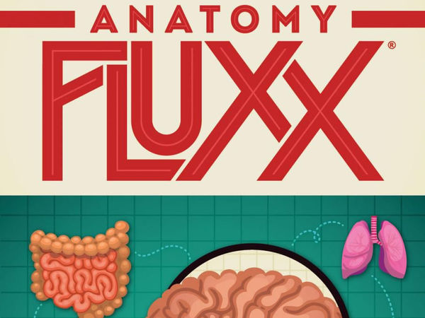 Bild zu Alle Brettspiele-Spiel Anatomy Fluxx