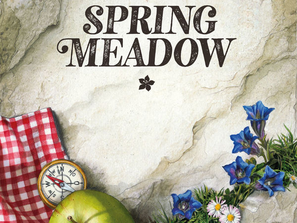 Bild zu Alle Brettspiele-Spiel Spring Meadow