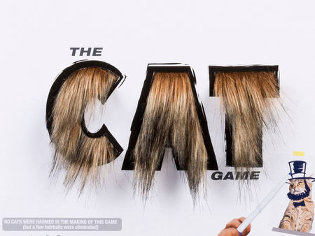 The Cat Game