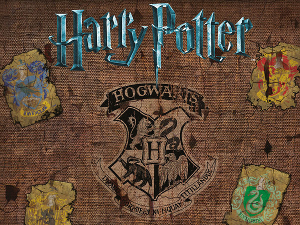 Bild zu Alle Brettspiele-Spiel Harry Potter: Kampf um Hogwarts