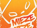 Miezekatze Bild 1