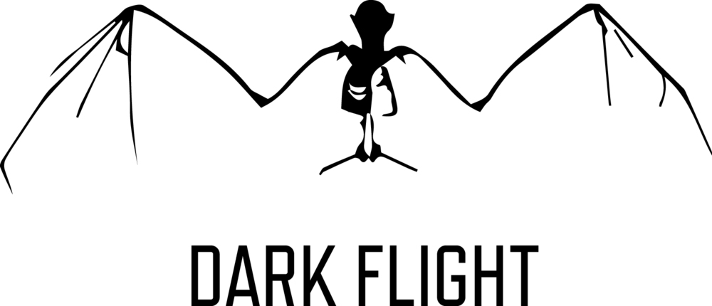 Dark_Flight_Games.jpg